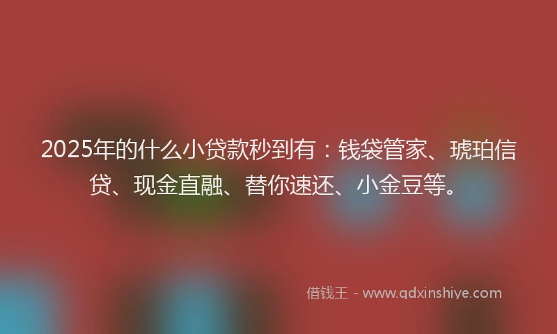 2025年的什么小贷款秒到有：钱袋管家、琥珀信贷、现金直融、替你速还、小金豆等。
