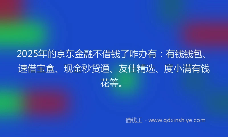 2025年的京东金融不借钱了咋办有：有钱钱包、速借宝盒、现金秒贷通、友佳精选、度小满有钱花等。