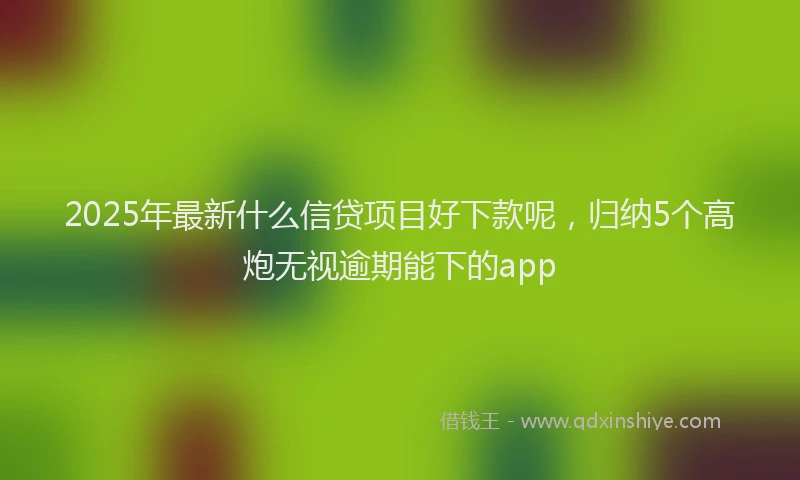 2025年最新什么信贷项目好下款呢，归纳5个高炮无视逾期能下的app