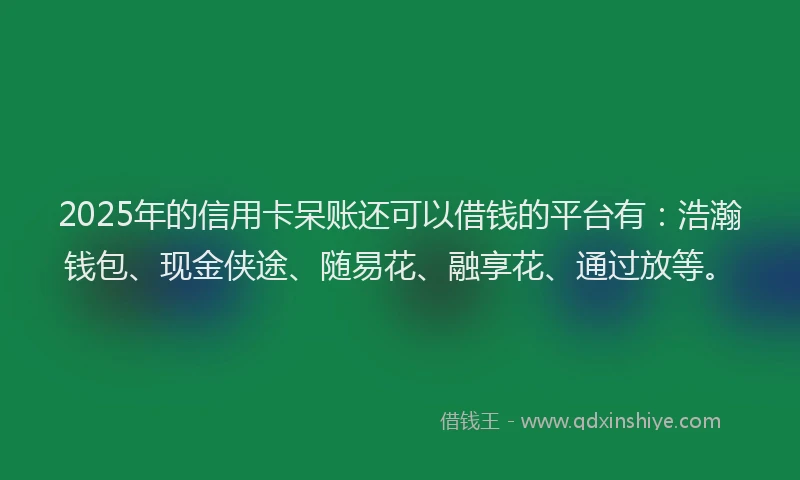 2025年的信用卡呆账还可以借钱的平台有：浩瀚钱包、现金侠途、随易花、融享花、通过放等。