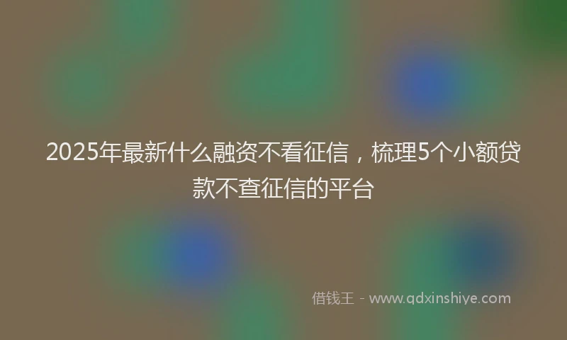 2025年最新什么融资不看征信，梳理5个小额贷款不查征信的平台