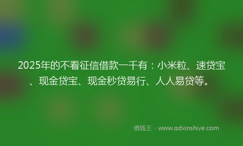 2025年的不看征信借款一千有：小米粒、速贷宝、现金贷宝、现金秒贷易行、人人易贷等。