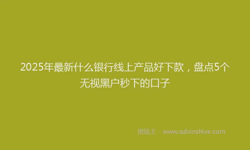 2025年最新什么银行线上产品好下款，盘点5个无视黑户秒下的口子