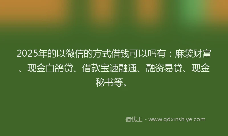 2025年的以微信的方式借钱可以吗有：麻袋财富、现金白鸽贷、借款宝速融通、融资易贷、现金秘书等。
