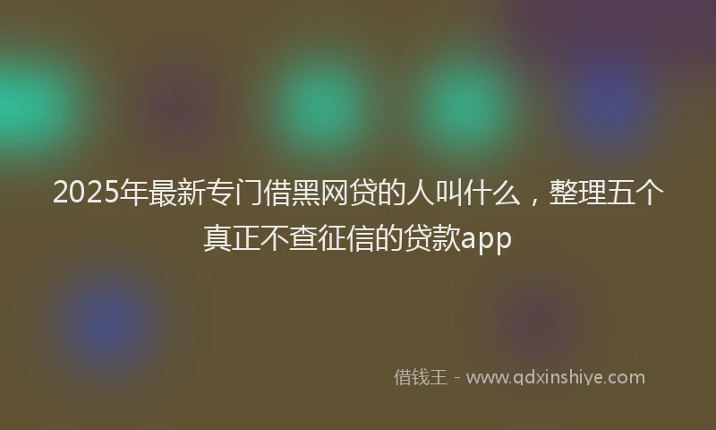 2025年最新专门借黑网贷的人叫什么，整理五个真正不查征信的贷款app