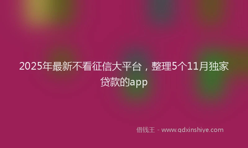 2025年最新不看征信大平台，整理5个11月独家贷款的app