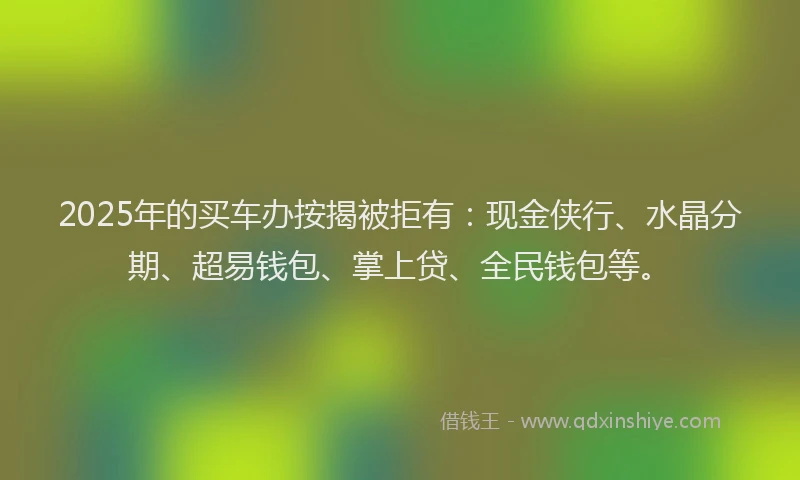 2025年的买车办按揭被拒有：现金侠行、水晶分期、超易钱包、掌上贷、全民钱包等。