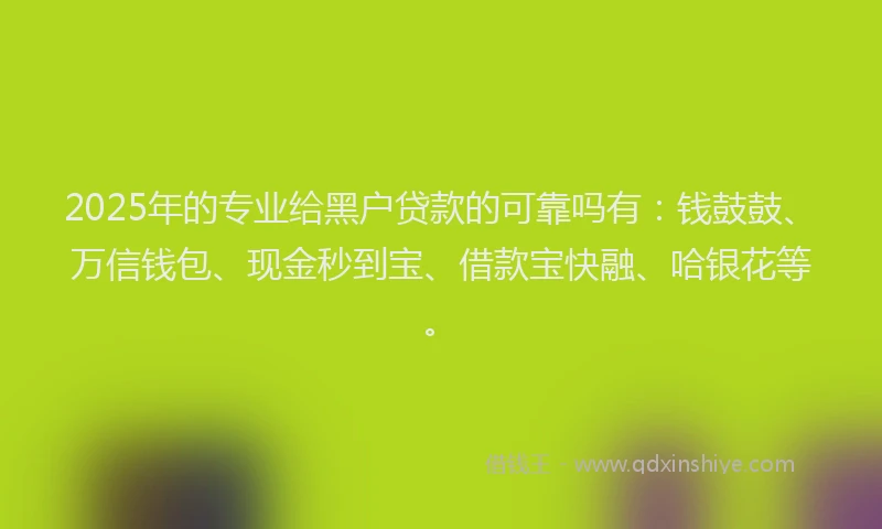 2025年的专业给黑户贷款的可靠吗有：钱鼓鼓、万信钱包、现金秒到宝、借款宝快融、哈银花等。
