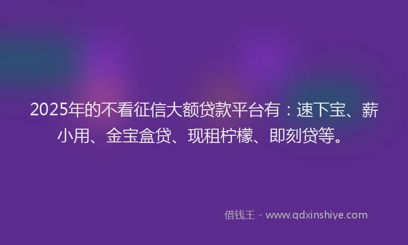2025年的不看征信大额贷款平台有：速下宝、薪小用、金宝盒贷、现租柠檬、即刻贷等。