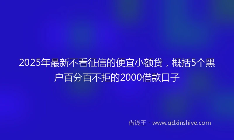 2025年最新不看征信的便宜小额贷，概括5个黑户百分百不拒的2000借款口子