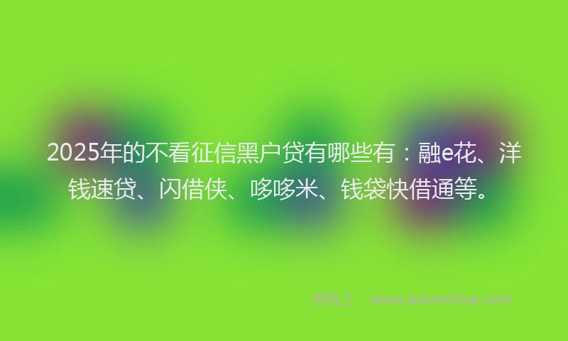 2025年的不看征信黑户贷有哪些有：融e花、洋钱速贷、闪借侠、哆哆米、钱袋快借通等。