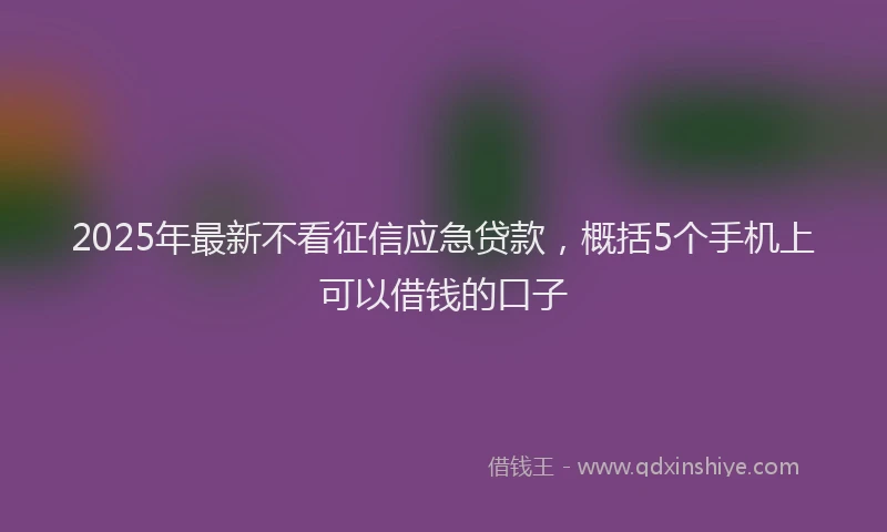 2025年最新不看征信应急贷款，概括5个手机上可以借钱的口子
