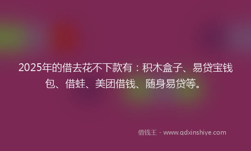 2025年的借去花不下款有：积木盒子、易贷宝钱包、借蛙、美团借钱、随身易贷等。