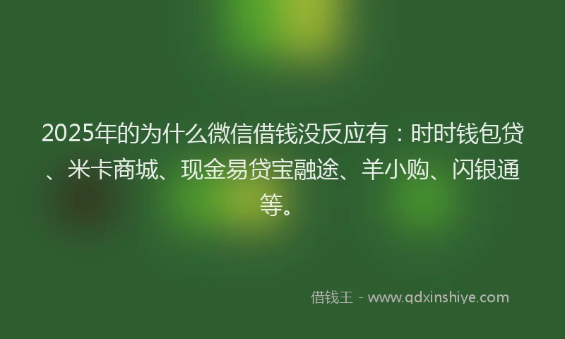 2025年的为什么微信借钱没反应有：时时钱包贷、米卡商城、现金易贷宝融途、羊小购、闪银通等。