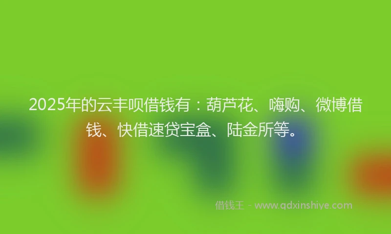 2025年的云丰呗借钱有：葫芦花、嗨购、微博借钱、快借速贷宝盒、陆金所等。