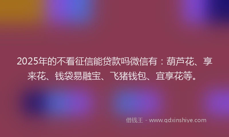 2025年的不看征信能贷款吗微信有：葫芦花、享来花、钱袋易融宝、飞猪钱包、宜享花等。