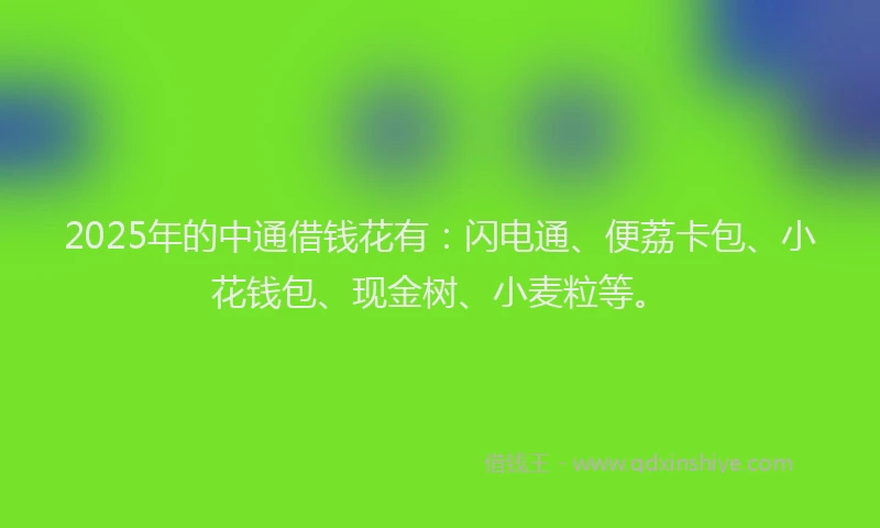 2025年的中通借钱花有：闪电通、便荔卡包、小花钱包、现金树、小麦粒等。