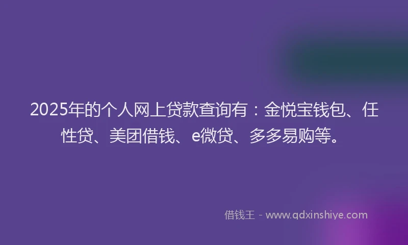 2025年的个人网上贷款查询有：金悦宝钱包、任性贷、美团借钱、e微贷、多多易购等。