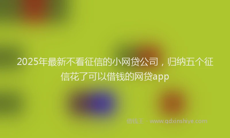 2025年最新不看征信的小网贷公司，归纳五个征信花了可以借钱的网贷app