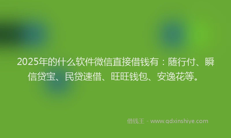 2025年的什么软件微信直接借钱有：随行付、瞬信贷宝、民贷速借、旺旺钱包、安逸花等。