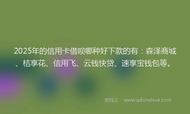 2025年的信用卡借呗哪种好下款的有：森泽商城、桔享花、信用飞、云钱快贷、速享宝钱包等。