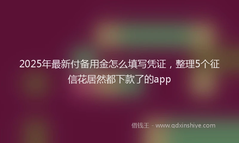 2025年最新付备用金怎么填写凭证，整理5个征信花居然都下款了的app