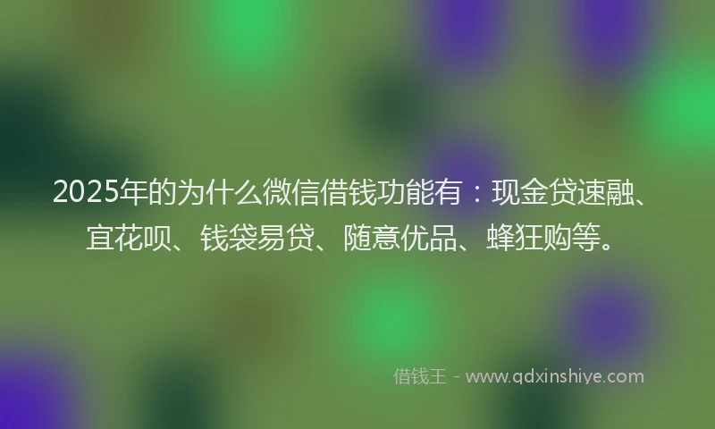 2025年的为什么微信借钱功能有：现金贷速融、宜花呗、钱袋易贷、随意优品、蜂狂购等。