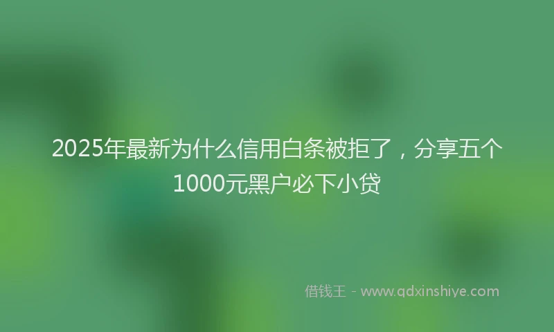2025年最新为什么信用白条被拒了，分享五个1000元黑户必下小贷
