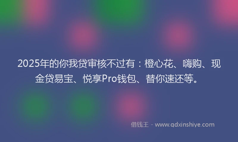 2025年的你我贷审核不过有：橙心花、嗨购、现金贷易宝、悦享Pro钱包、替你速还等。