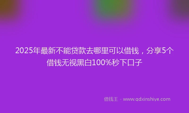 2025年最新不能贷款去哪里可以借钱，分享5个借钱无视黑白100%秒下口子