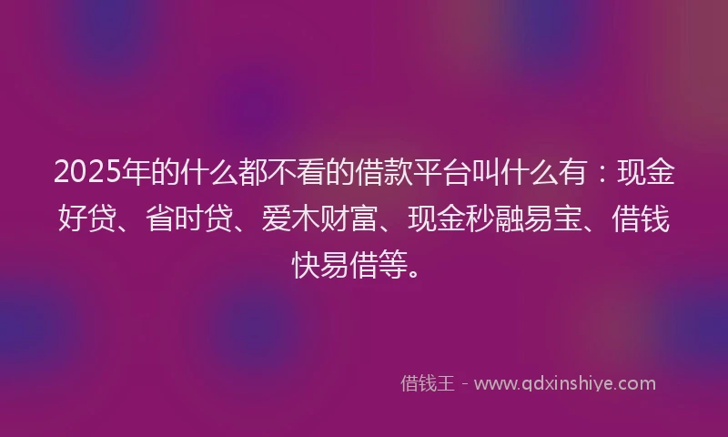 2025年的什么都不看的借款平台叫什么有：现金好贷、省时贷、爱木财富、现金秒融易宝、借钱快易借等。