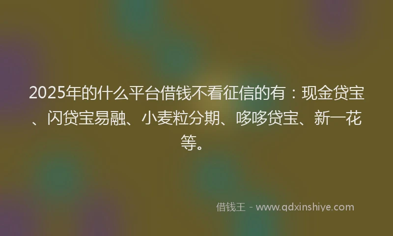 2025年的什么平台借钱不看征信的有：现金贷宝、闪贷宝易融、小麦粒分期、哆哆贷宝、新一花等。