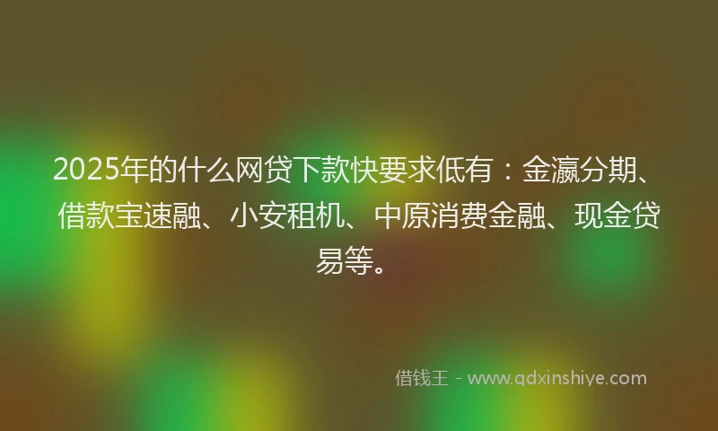 2025年的什么网贷下款快要求低有：金瀛分期、借款宝速融、小安租机、中原消费金融、现金贷易等。
