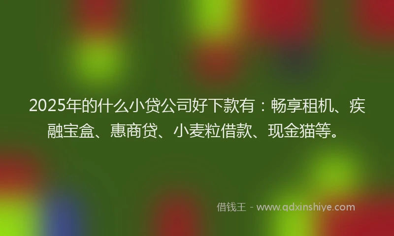 2025年的什么小贷公司好下款有：畅享租机、疾融宝盒、惠商贷、小麦粒借款、现金猫等。