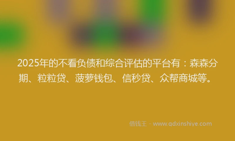 2025年的不看负债和综合评估的平台有：森森分期、粒粒贷、菠萝钱包、信秒贷、众帮商城等。