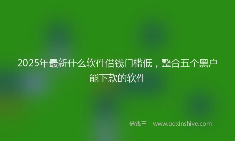 2025年最新什么软件借钱门槛低，整合五个黑户能下款的软件