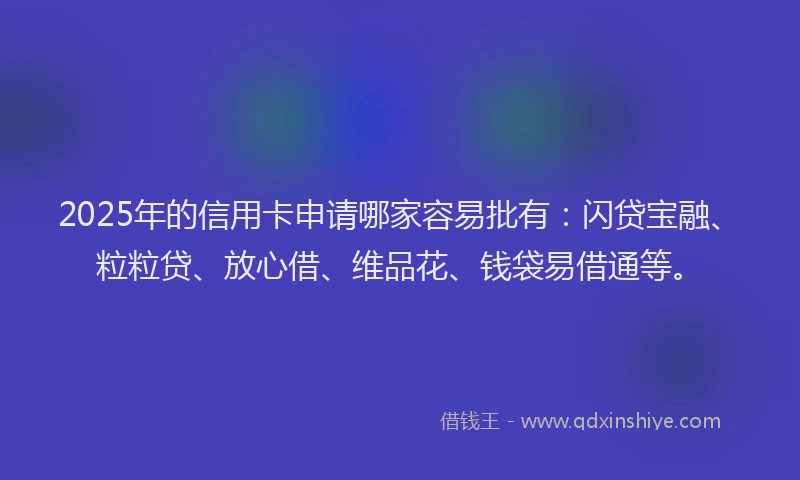 2025年的信用卡申请哪家容易批有：闪贷宝融、粒粒贷、放心借、维品花、钱袋易借通等。