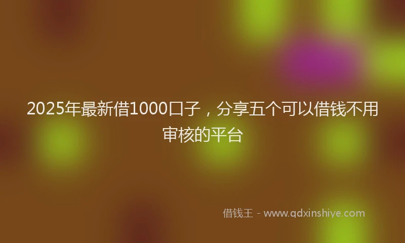 2025年最新借1000口子，分享五个可以借钱不用审核的平台