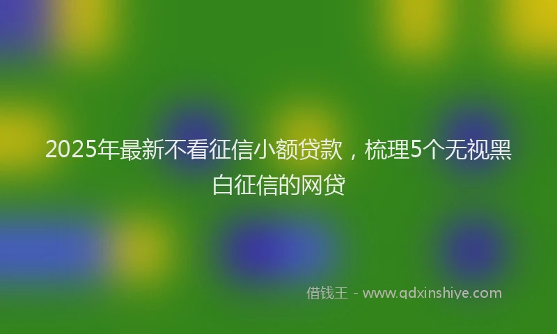 2025年最新不看征信小额贷款，梳理5个无视黑白征信的网贷
