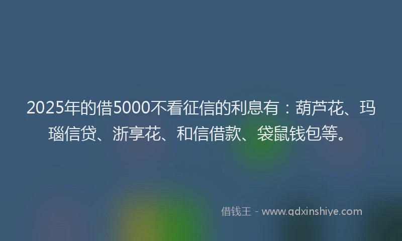 2025年的借5000不看征信的利息有：葫芦花、玛瑙信贷、浙享花、和信借款、袋鼠钱包等。