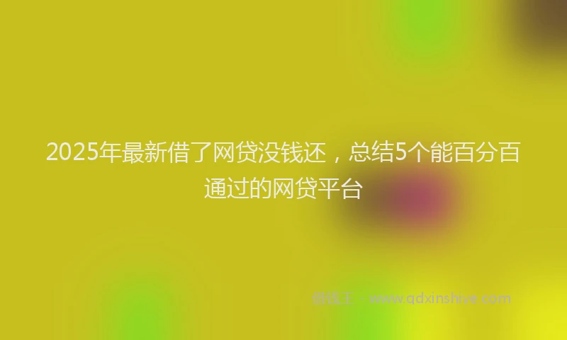 2025年最新借了网贷没钱还，总结5个能百分百通过的网贷平台