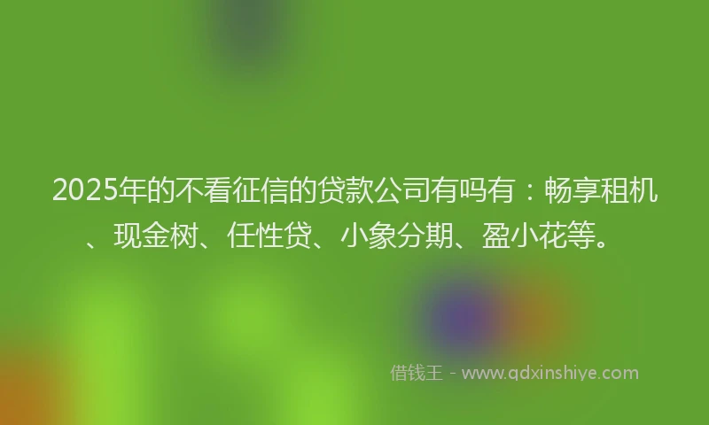 2025年的不看征信的贷款公司有吗有：畅享租机、现金树、任性贷、小象分期、盈小花等。