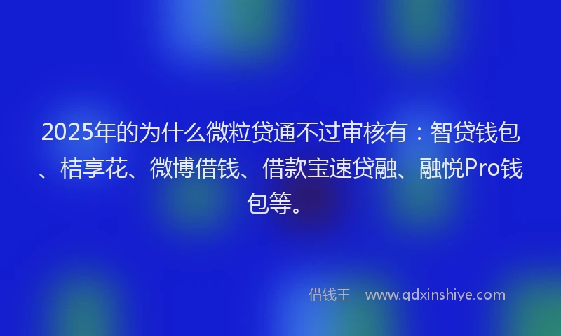 2025年的为什么微粒贷通不过审核有：智贷钱包、桔享花、微博借钱、借款宝速贷融、融悦Pro钱包等。