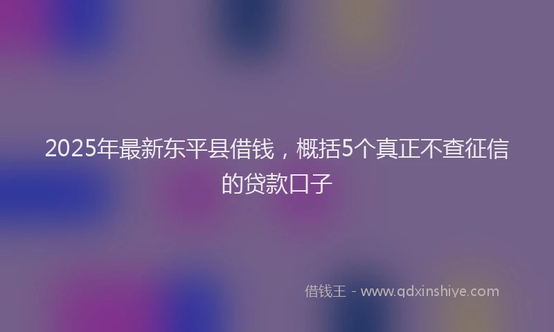 2025年最新东平县借钱，概括5个真正不查征信的贷款口子