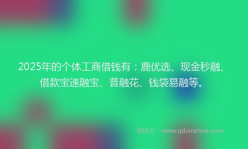 2025年的个体工商借钱有：鹿优选、现金秒融、借款宝速融宝、普融花、钱袋易融等。