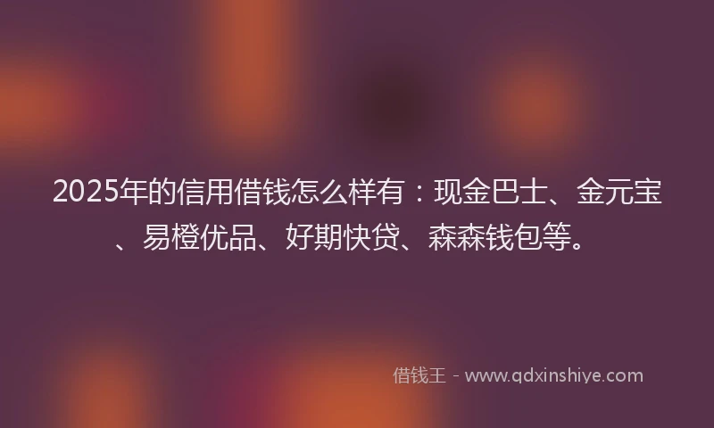 2025年的信用借钱怎么样有：现金巴士、金元宝、易橙优品、好期快贷、森森钱包等。