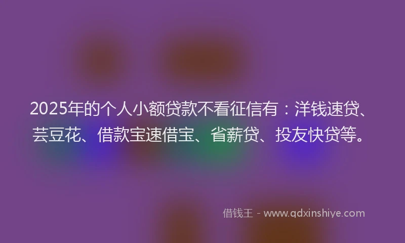 2025年的个人小额贷款不看征信有：洋钱速贷、芸豆花、借款宝速借宝、省薪贷、投友快贷等。