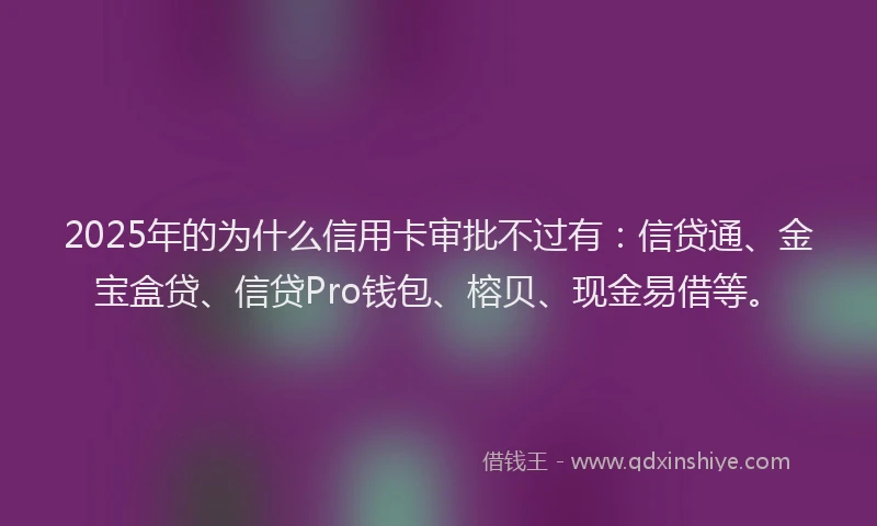 2025年的为什么信用卡审批不过有：信贷通、金宝盒贷、信贷Pro钱包、榕贝、现金易借等。