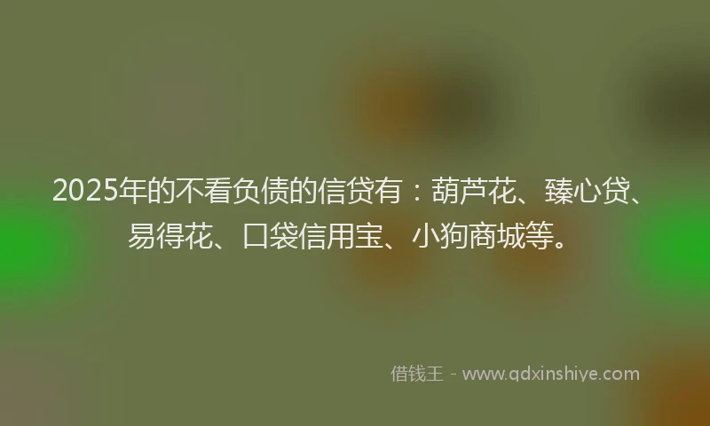 2025年的不看负债的信贷有：葫芦花、臻心贷、易得花、口袋信用宝、小狗商城等。