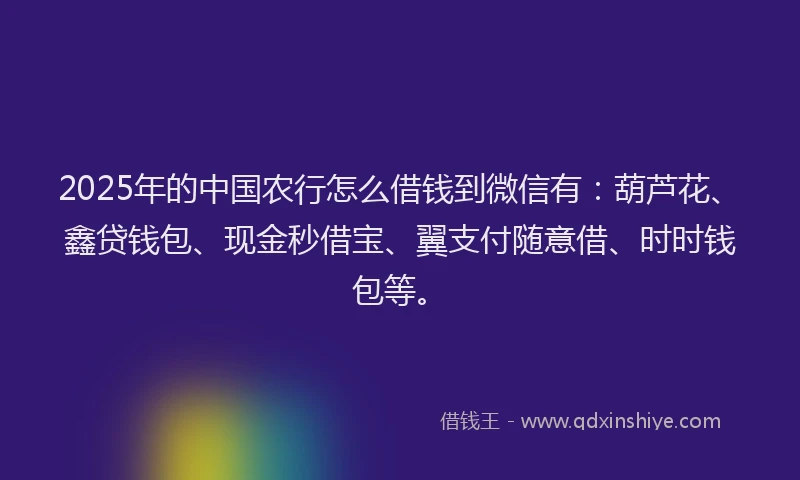 2025年的中国农行怎么借钱到微信有：葫芦花、鑫贷钱包、现金秒借宝、翼支付随意借、时时钱包等。